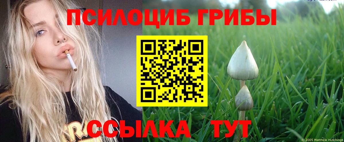 Галлюциногенные грибы Psilocybine cubensis  Вход с VPN  Протвино 